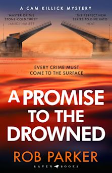 A Promise to the Drowned cover