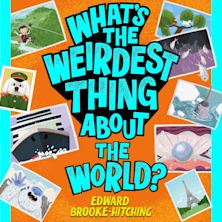 What's the Weirdest Thing About the World? cover