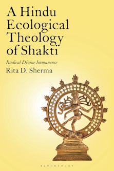 Radical Divine Immanence cover