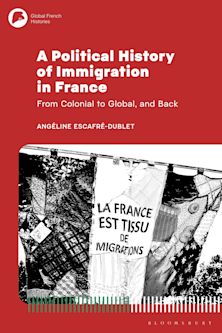 A Political History of Immigration in France cover