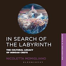 In Search of the Labyrinth cover