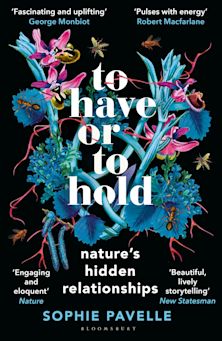 To Have or To Hold cover