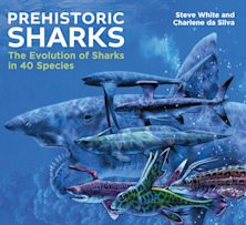 Prehistoric Sharks cover