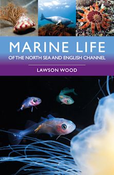 Marine Life of the North Sea and English Channel cover