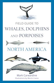 Field Guide to Whales, Dolphins and Porpoises of North America cover