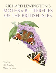 Richard Lewington's Moths & Butterflies of the British Isles cover