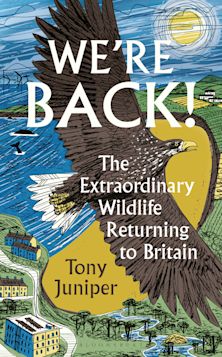 We're Back! cover