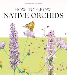 How to Grow Native Orchids cover