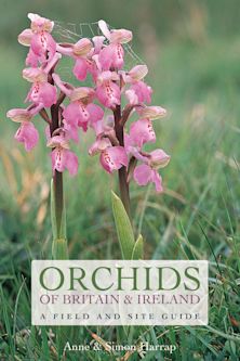 Orchids of Britain and Ireland cover