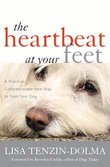 Heartbeat at Your Feet cover