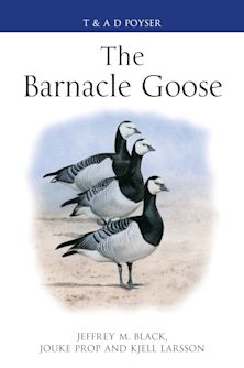 The Barnacle Goose cover