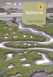 Saltmarsh cover