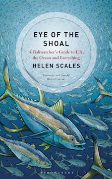 Eye of the Shoal cover
