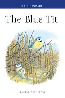 Blue Tit cover