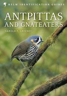 Antpittas and Gnateaters cover