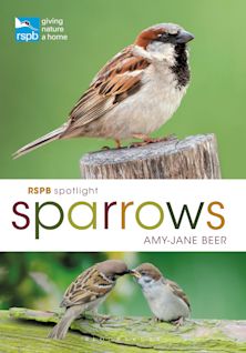 RSPB Spotlight Sparrows cover