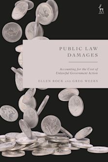 Public Law Damages cover