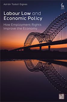 Labour Law and Economic Policy cover