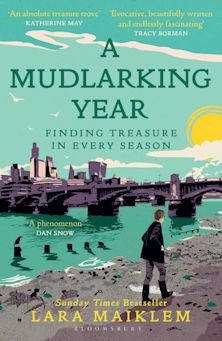Mudlarking Year cover