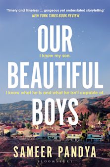 Our Beautiful Boys cover