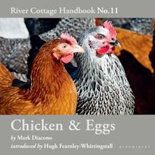 Chicken & Eggs cover