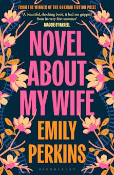 Novel About My Wife cover