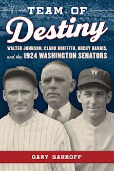 Team of Destiny cover
