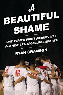 Beautiful Shame cover