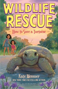 How to Save a Tortoise cover