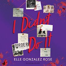 I Didn't Do It cover