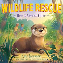 How to Save an Otter cover