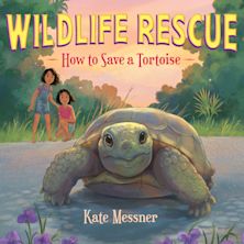How to Save a Tortoise cover