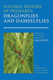 Natural History of Delmarva Dragonflies and Damselflies cover