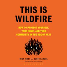 This Is Wildfire cover