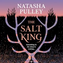 Salt King cover