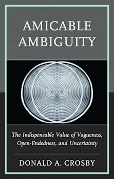 Amicable Ambiguity cover
