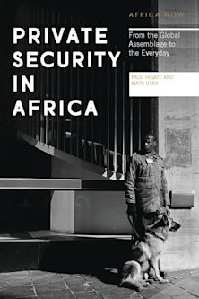 Private Security in Africa cover