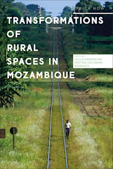 Transformations of Rural Spaces in Mozambique cover