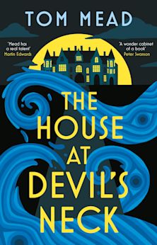 House at Devil's Neck cover