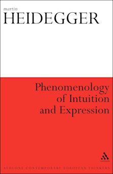 Phenomenology of Intuition and Expression cover