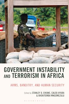Government Instability and Terrorism in Africa cover
