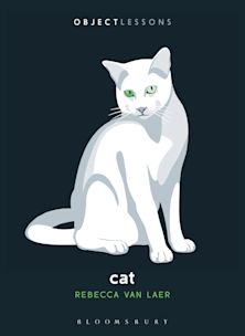 Cat cover