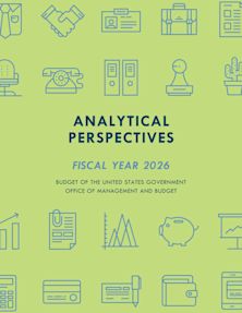 Analytical Perspectives cover