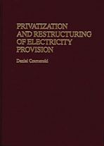 Privatization and Restructuring of Electricity Provision cover