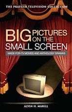 Big Pictures on the Small Screen cover