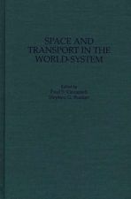 Space and Transport in the World-System cover