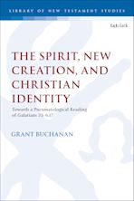 The Spirit, New Creation, and Christian Identity cover