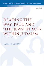 Reading the Way, Paul, and “The Jews” in Acts within Judaism cover