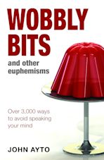 Wobbly Bits and Other Euphemisms cover