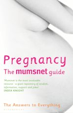 Pregnancy: The Mumsnet Guide cover